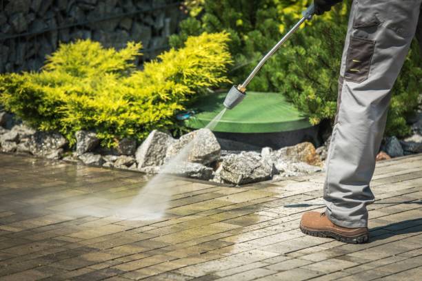 Best Sidewalk and Walkway Cleaning  in Chamberlain, SD