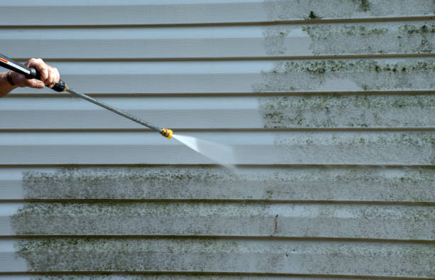 Best House Exterior Washing  in Chamberlain, SD