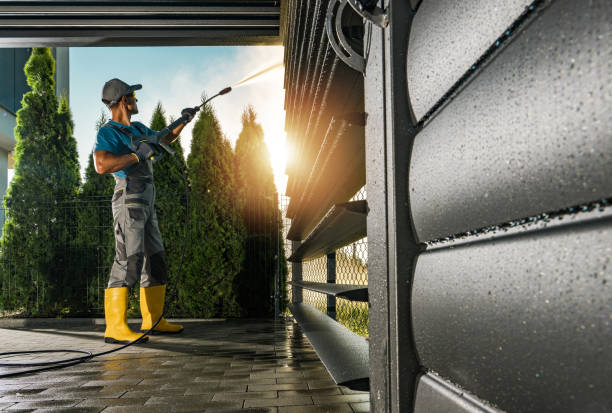 Best Gutter Cleaning  in Chamberlain, SD